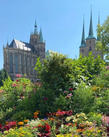 Erfurt im Sommer